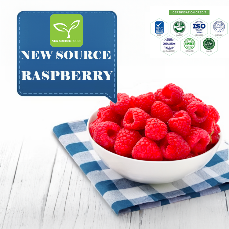 NEWSOURCE – High-Quality Frozen Berries to Elevate Your Business 3 02