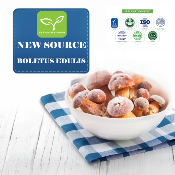 bolets edulis