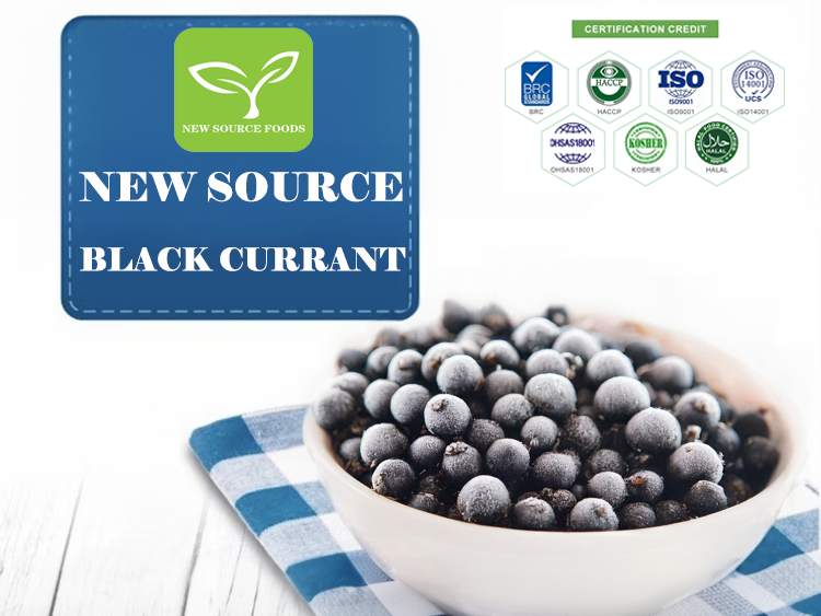Boost Your Business with NEWSOURCE' Premium Frozen Passion Fruit & Blackcurrants 2 black currant
