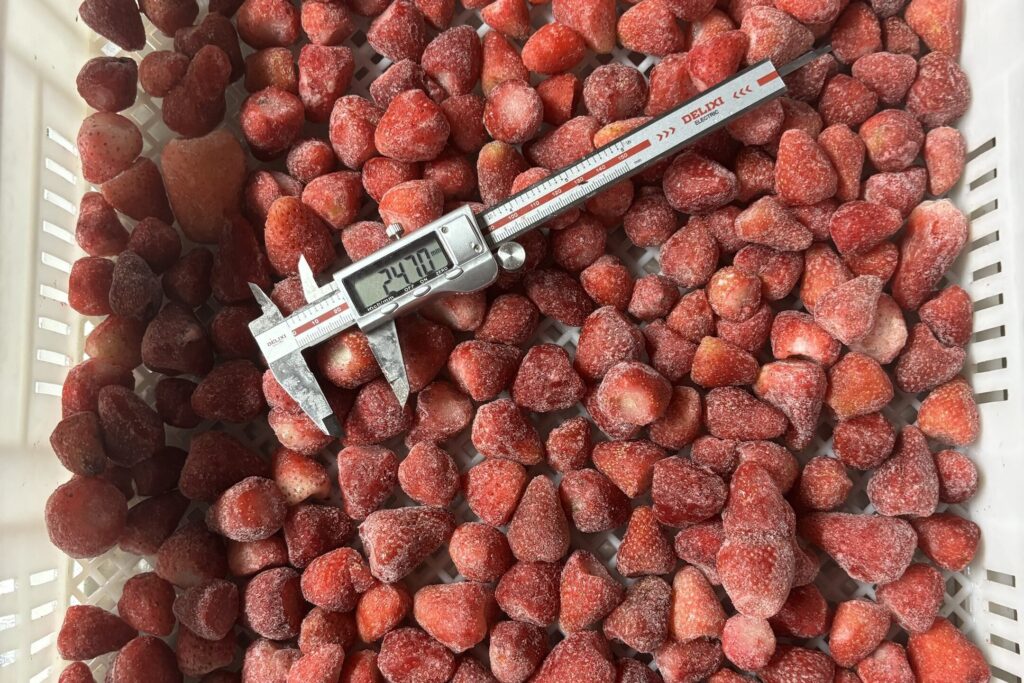 Safe, Traceable & Export-Ready Frozen Strawberry from NEWSOURCE 2 Strawberry