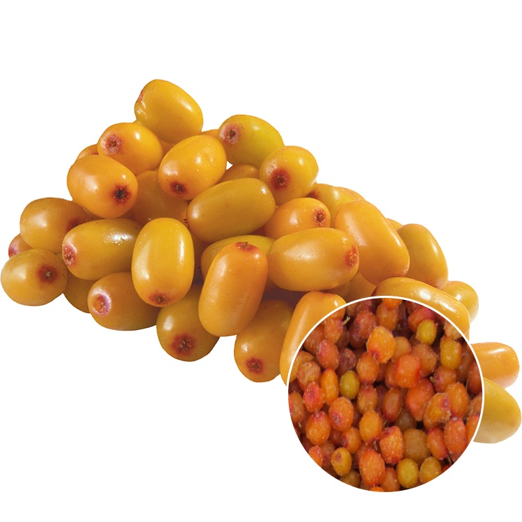 Sea buckthorn