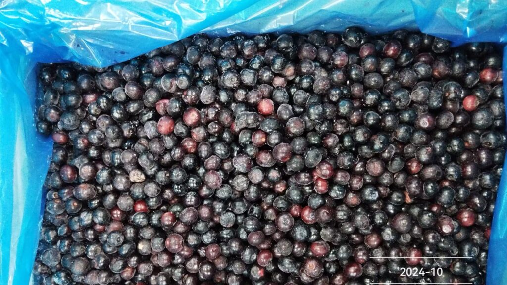 Newsource – High-Quality Frozen Blueberries with Complete Certifications & Customization 2 Blueberries