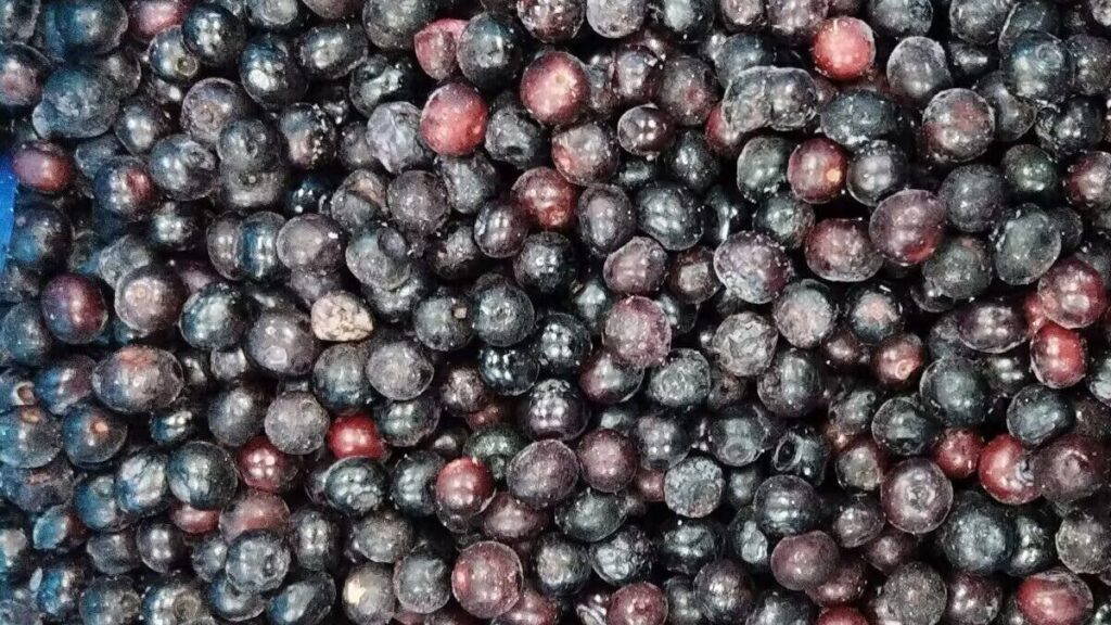 Blueberries