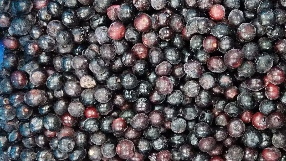 Blueberries