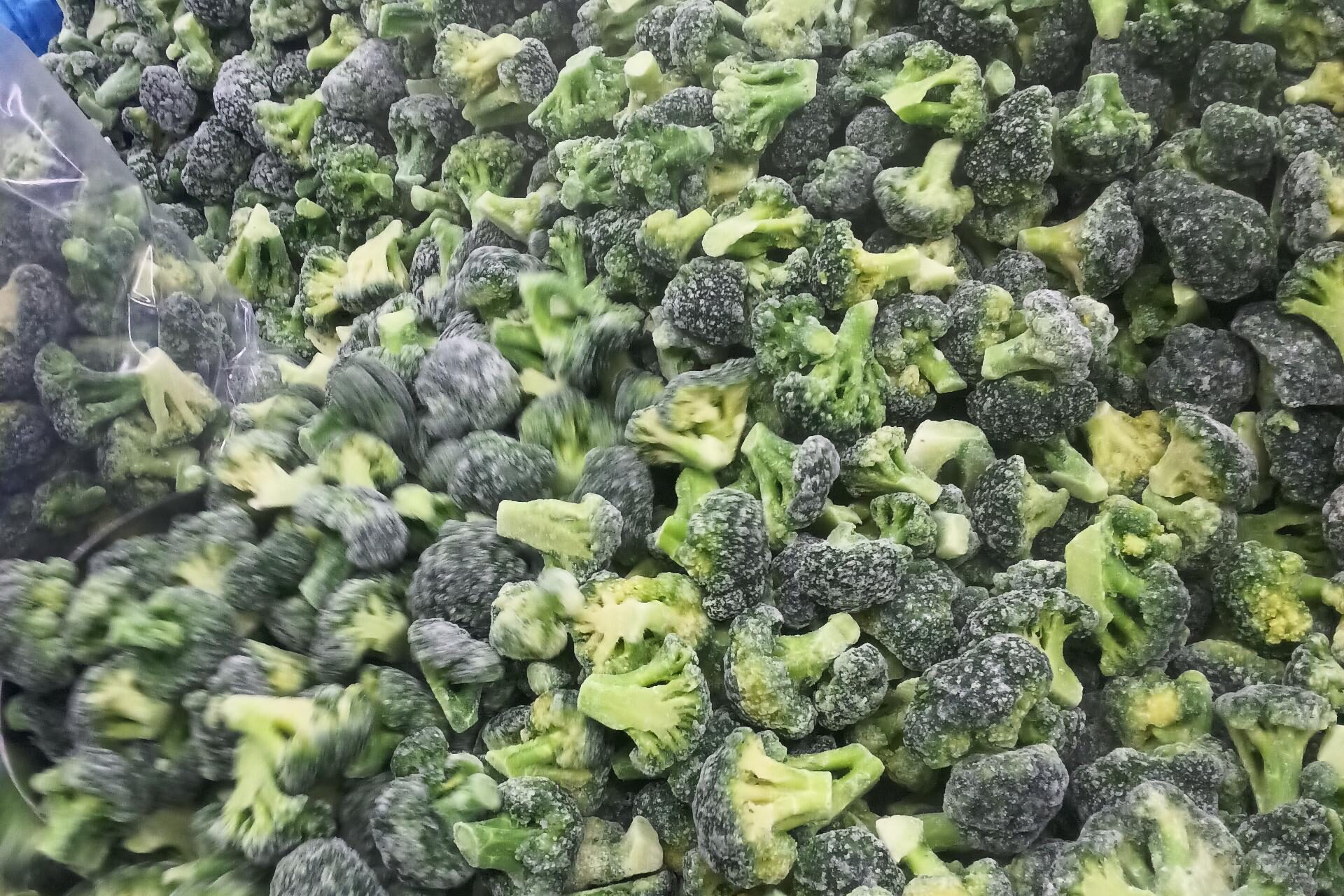 broccoli (2)
