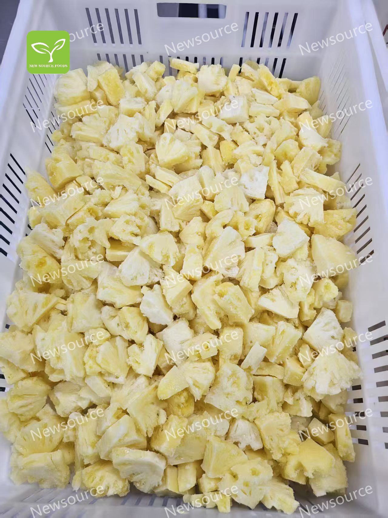 IQF Frozen Pineapple for Professional Food Applications - Quality ...