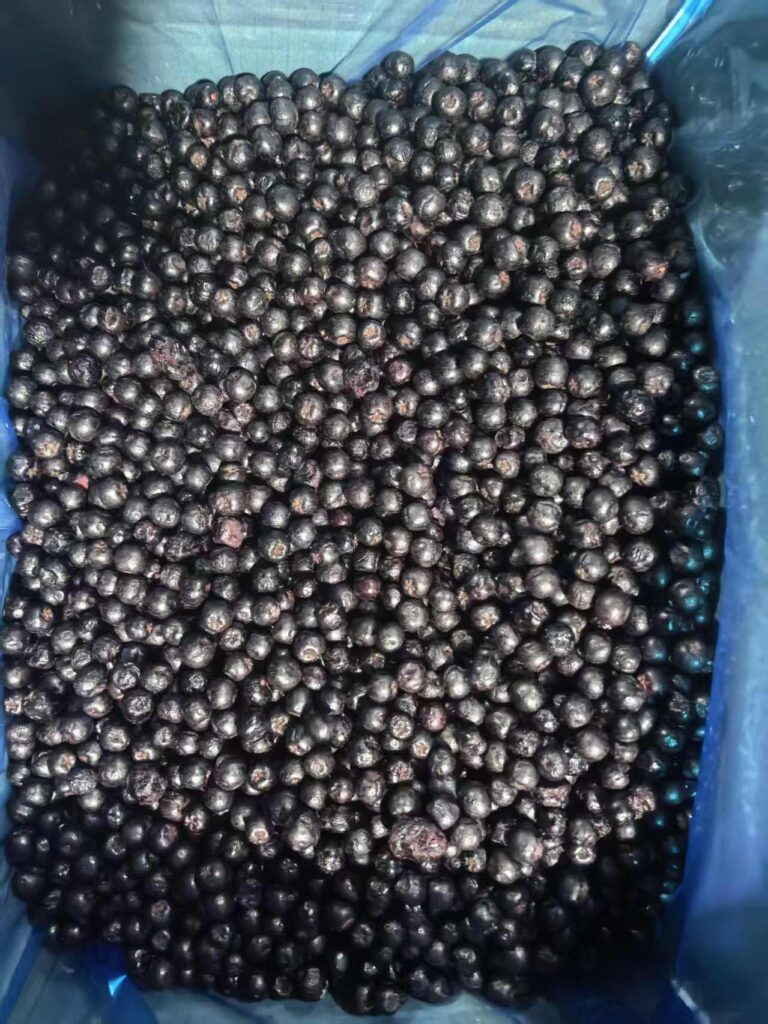 Frozen Aronia (1)