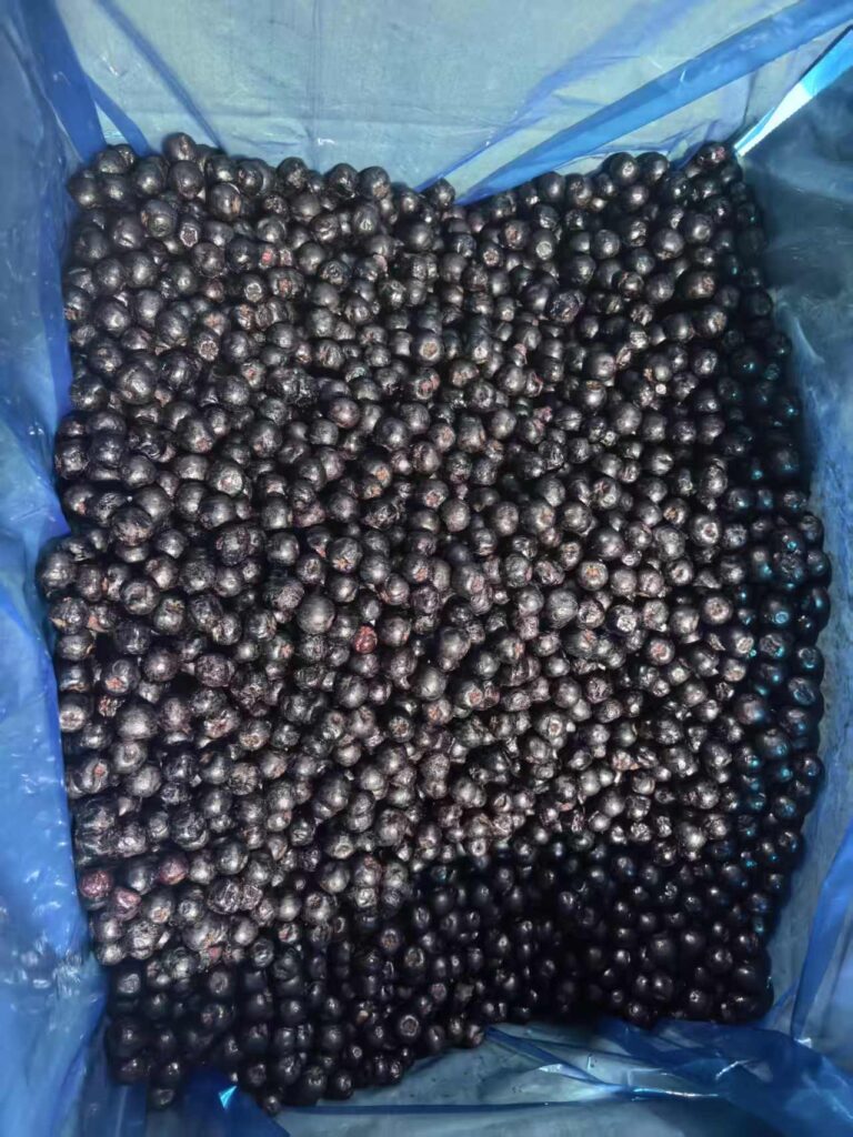 Frozen Aronia (2)