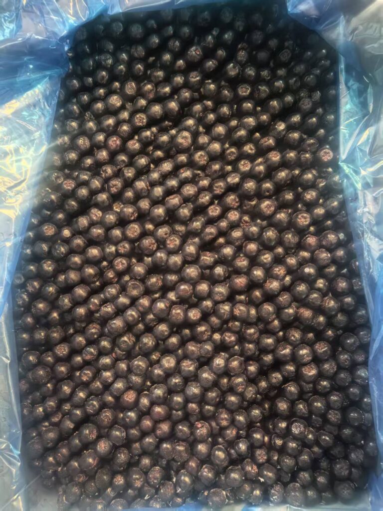 Frozen Aronia (3)
