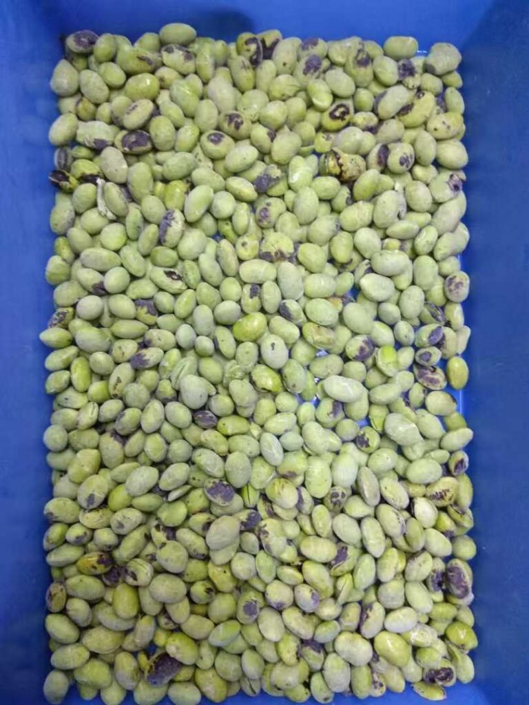 Premium Frozen Roasted Edamame – High-Quality Plant-Based Ingredient from Newsource 2 冷冻烤毛豆去皮