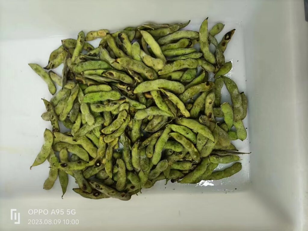 Premium Frozen Roasted Edamame – High-Quality Plant-Based Ingredient from Newsource 1 冷冻烤毛豆未剥皮