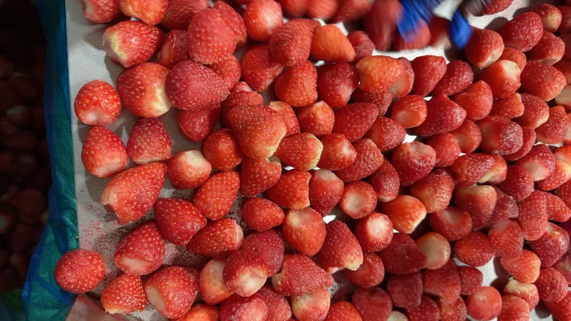 High-Quality Frozen Strawberries: How We Do It 2 Frozen strawberries